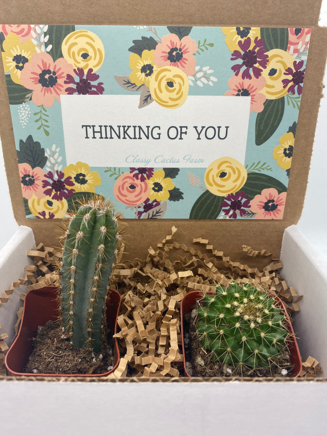 Cactus Gift Box - Thinking of You (set of 2)