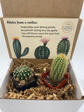 Load image into Gallery viewer, Cactus Gift Box - (set of 2) Advice from a cactus
