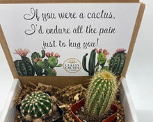 Load image into Gallery viewer, Cactus Gift Box - (set of 2) If you were a cactus...
