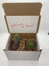 Load image into Gallery viewer, Cactus Gift Box - You are loved (set of 2)
