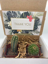 Load image into Gallery viewer, Cactus Gift Box - Thank You (set of 2)
