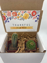 Load image into Gallery viewer, Cactus Gift Box - Thankful for you (set of 2)
