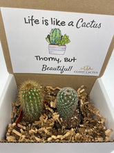 Load image into Gallery viewer, Cactus Gift Box - Life is Like a Cactus... (set of 2 Cacti )
