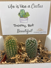 Load image into Gallery viewer, Cactus Gift Box - Life is Like a Cactus... (set of 2 Cacti )
