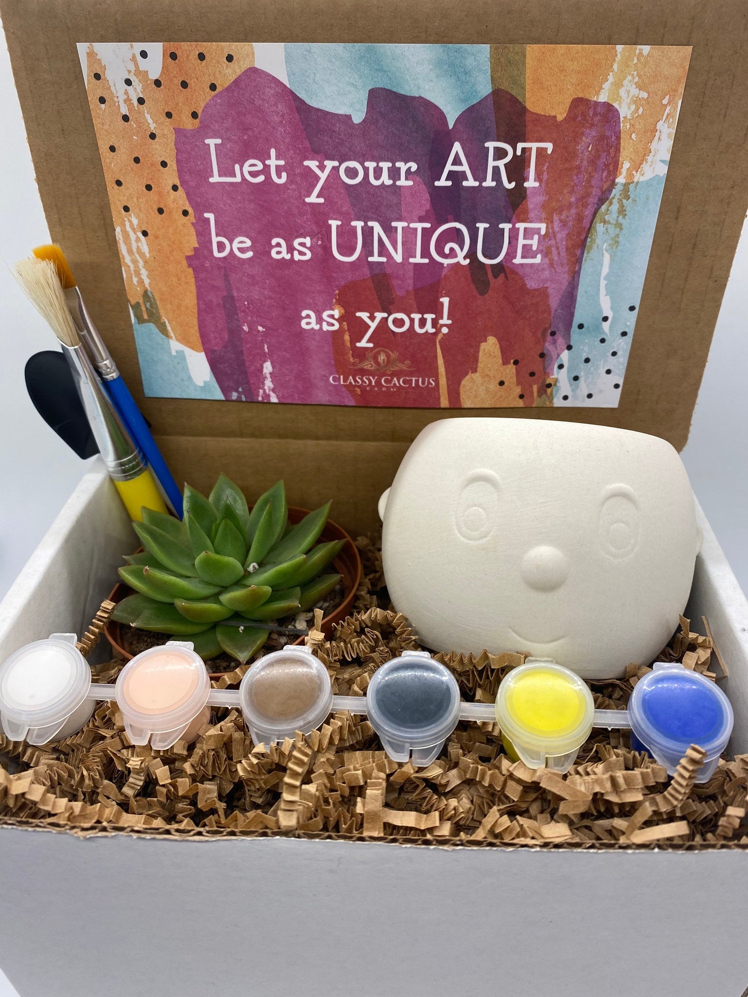 succulent plant as a gift DIY Plant Buddy Succulent Gift Box