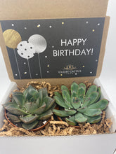 Load image into Gallery viewer, Succulent Gift Box - Happy Birthday Balloon -
