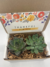 Load image into Gallery viewer, Succulent Gift Box - Thankful for You
