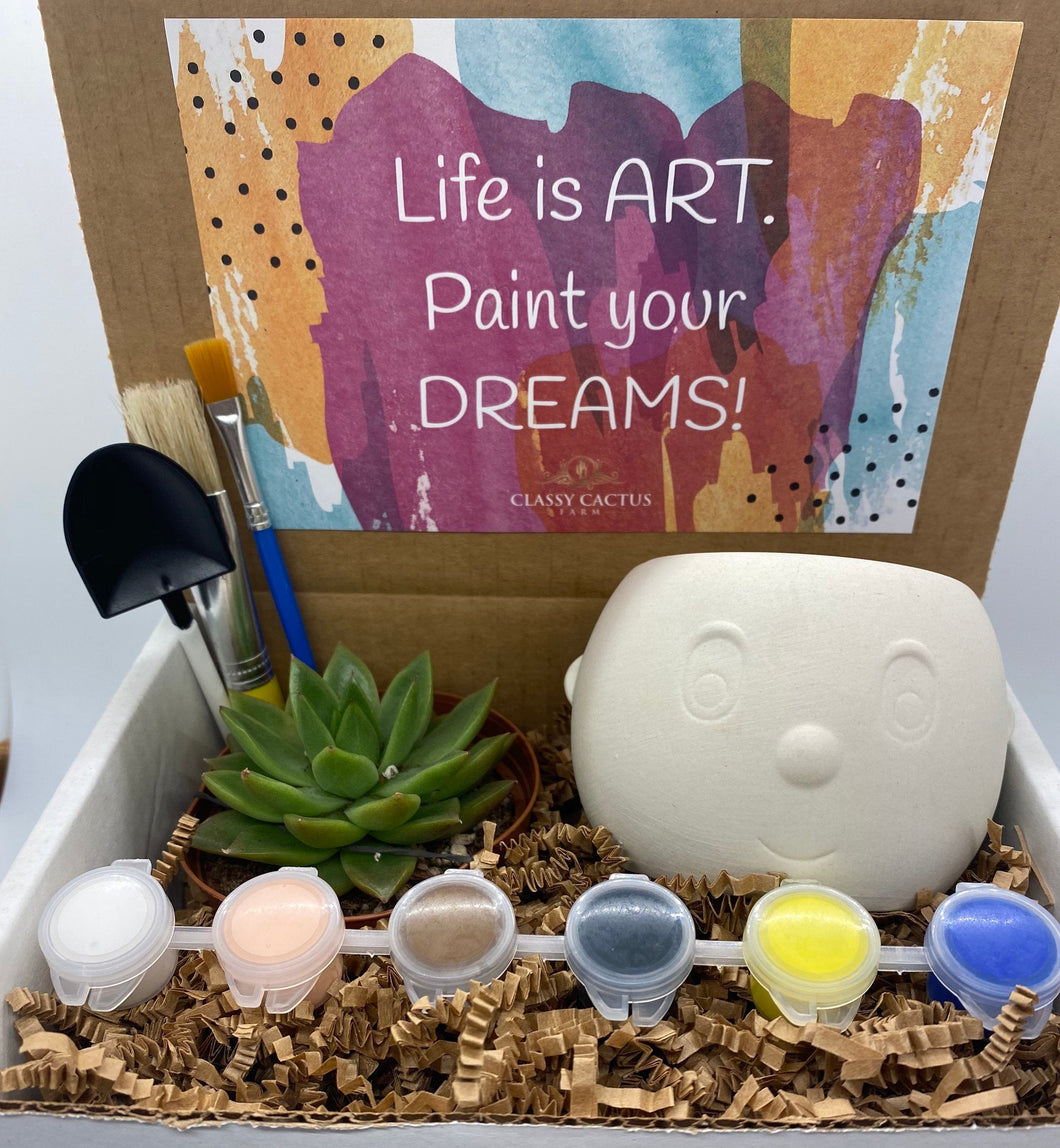 DIY Plant Buddy Succulent Gift Box - Paint your dreams