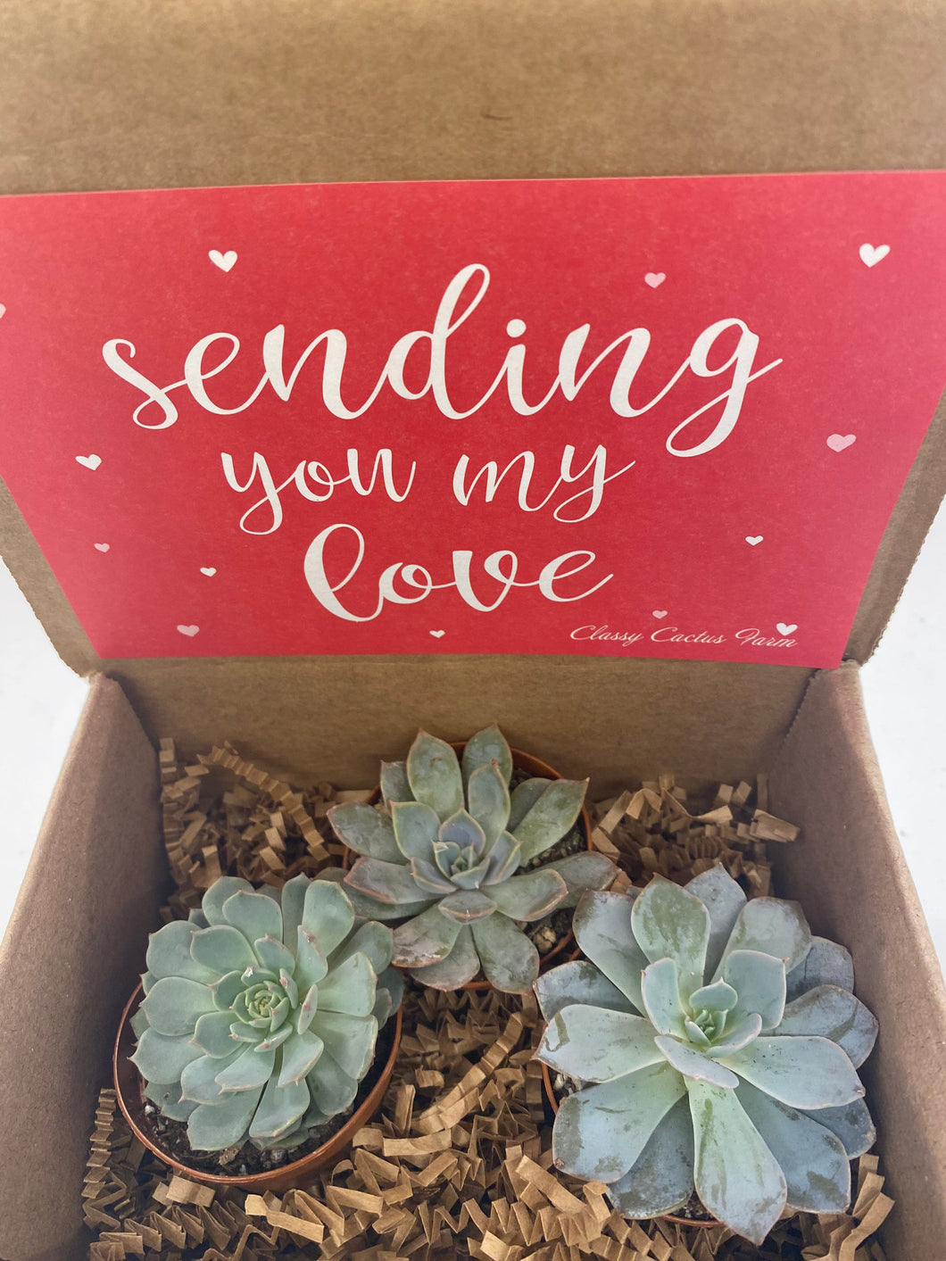 Succulent Gift Box - Sending my love - 3 plants (2 inch plant)