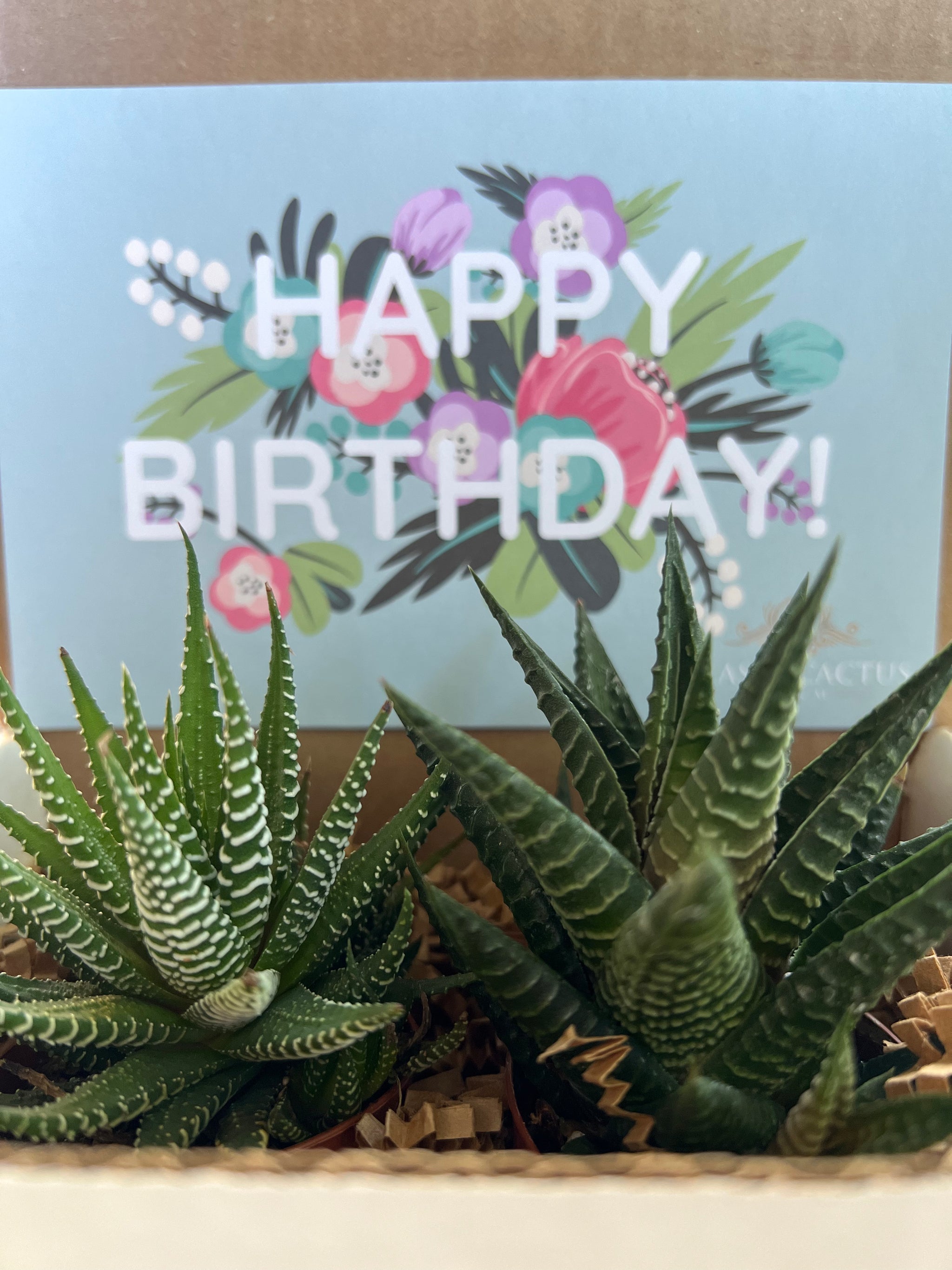 succulent birthday banner Floral Happy Birthday Succulent Gift Box – Classy Cactus Farm, LLC
