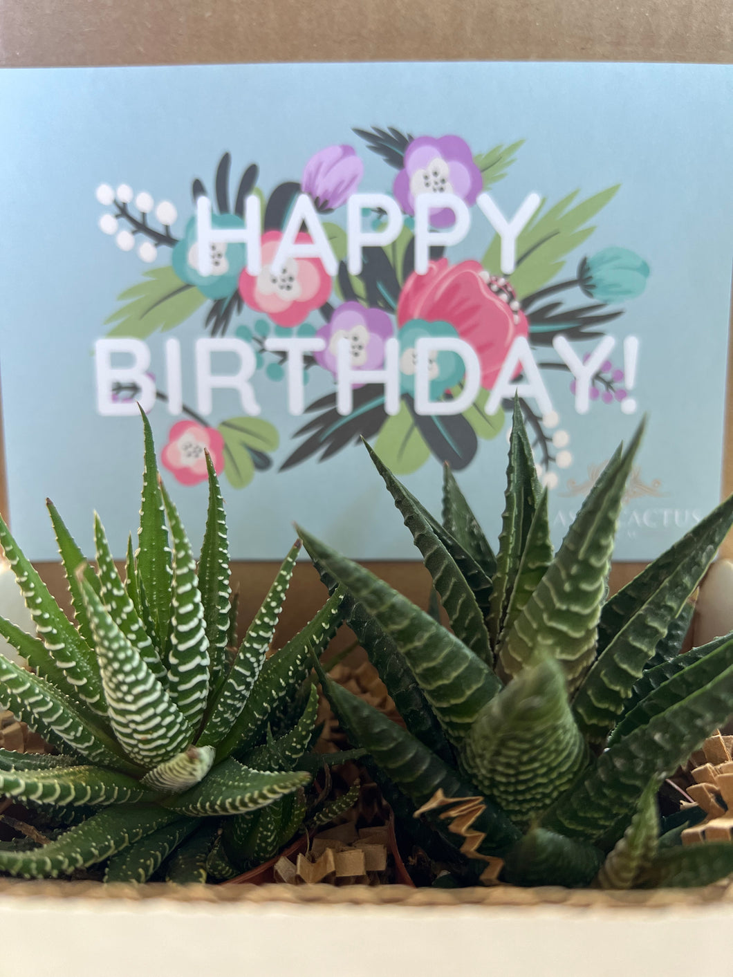 Floral Happy Birthday Succulent Gift Box