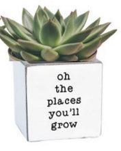 Load image into Gallery viewer, Punny Pots
