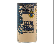 Load image into Gallery viewer, Blue Spruce Growing Kit
